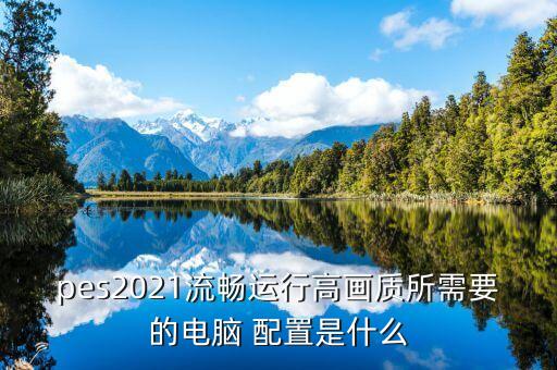 實(shí)況足球配置