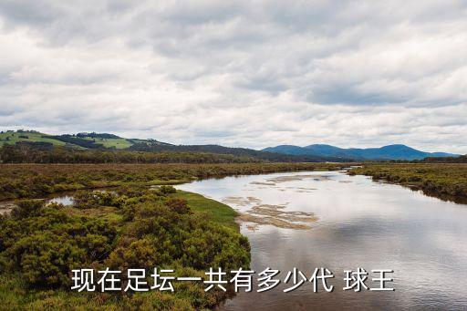 現(xiàn)在足壇一共有多少代 球王