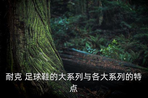 耐克 足球鞋的大系列與各大系列的特點(diǎn)