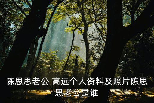 陳思思老公 高遠個人資料及照片陳思思老公是誰