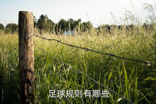 五人制足球聯(lián)競賽規(guī)程