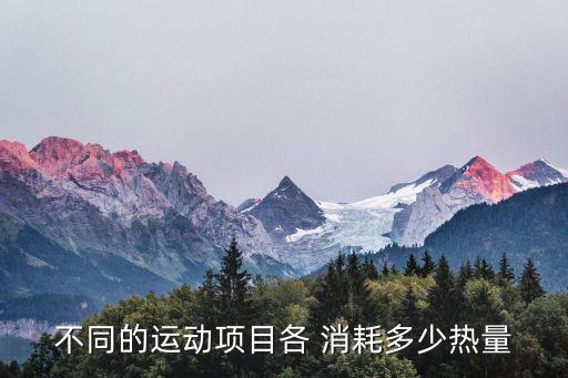 不同的運動項目各 消耗多少熱量