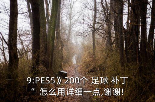 9:PES5》200個(gè) 足球 補(bǔ)丁”怎么用詳細(xì)一點(diǎn),謝謝!