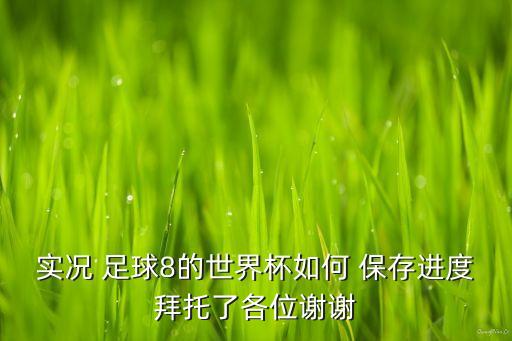 實(shí)況 足球8的世界杯如何 保存進(jìn)度拜托了各位謝謝