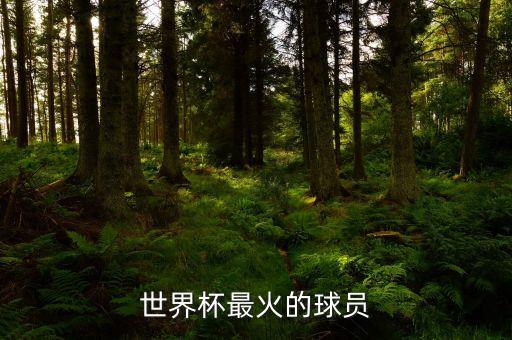 立陶宛足球俱樂(lè)部爆冷