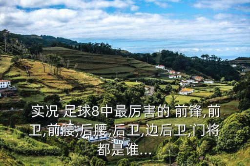  實況 足球8中最厲害的 前鋒,前衛(wèi),前腰,后腰,后衛(wèi),邊后衛(wèi),門將都是誰...