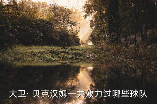 大衛(wèi)· 貝克漢姆一共效力過哪些球隊(duì)