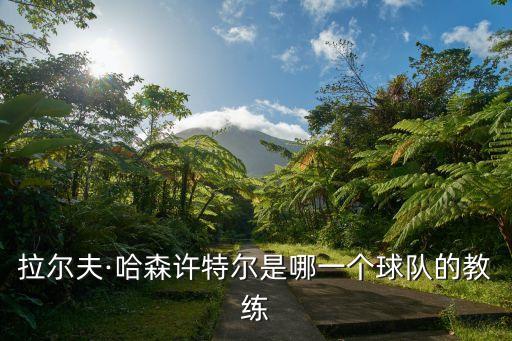 拉爾夫·哈森許特爾是哪一個球隊的教練