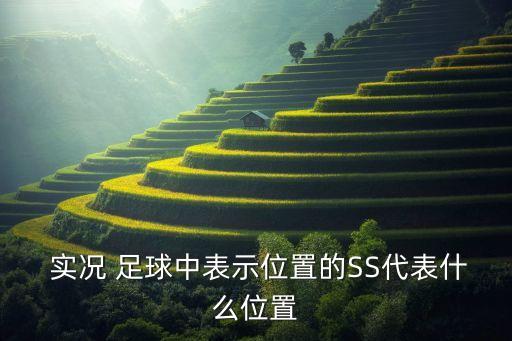  實況 足球中表示位置的SS代表什么位置