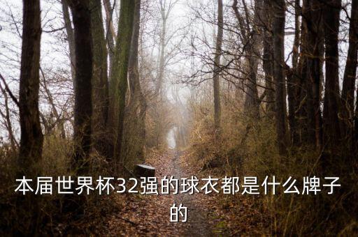 本屆世界杯32強(qiáng)的球衣都是什么牌子的
