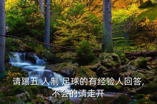 小學(xué)5人制足球比賽戰(zhàn)術(shù),九人制足球比賽陣型及戰(zhàn)術(shù)