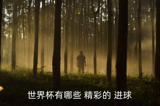 世界杯有哪些 精彩的 進(jìn)球