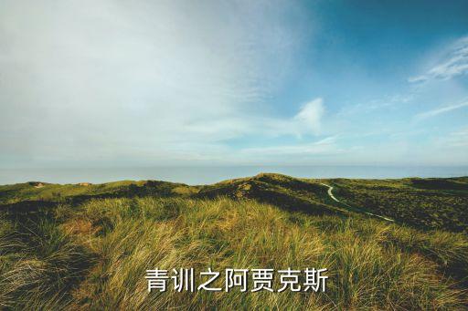  青訓(xùn)之阿賈克斯
