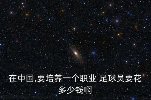 在中國,要培養(yǎng)一個(gè)職業(yè) 足球員要花多少錢啊