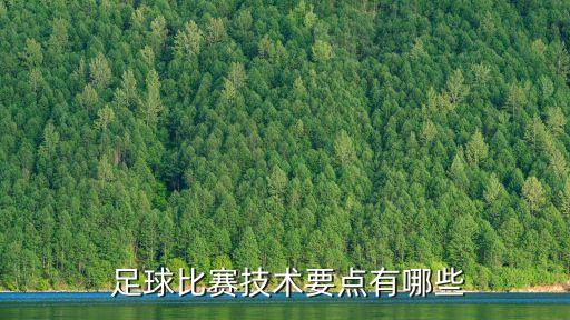  足球比賽技術(shù)要點有哪些