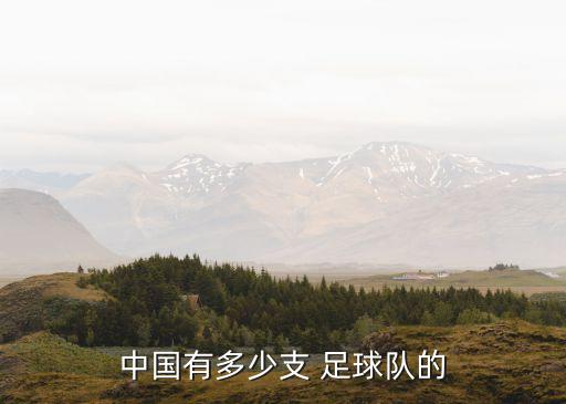 足球國(guó)家隊(duì)河南,2022足球國(guó)家隊(duì)排行