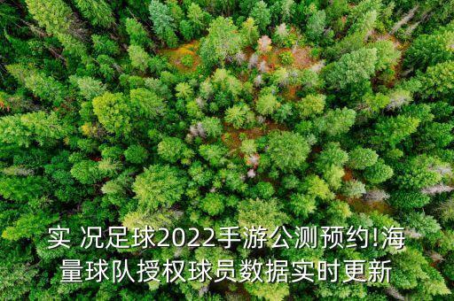 實實況況足足球