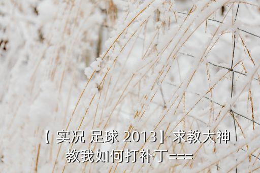 【 實況 足球 2013】求教大神教我如何打補丁===