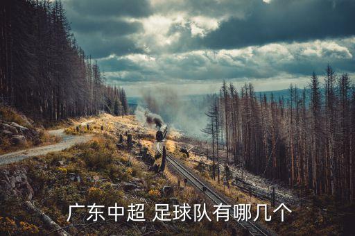  廣東中超 足球隊(duì)有哪幾個(gè)