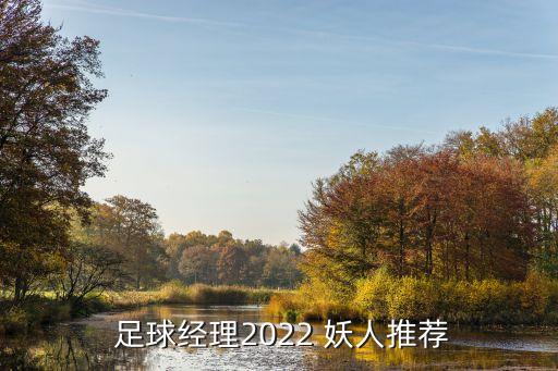  足球經(jīng)理2022 妖人推薦
