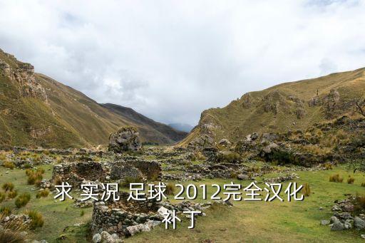 求 實(shí)況 足球 2012完全漢化 補(bǔ)丁
