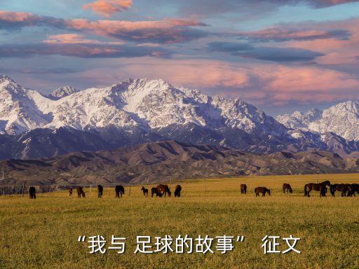 “我與 足球的故事” 征文