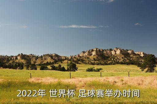 2022年 世界杯 足球賽舉辦時間