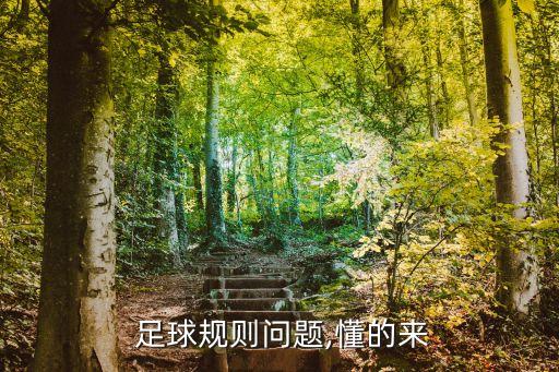  足球規(guī)則問題,懂的來