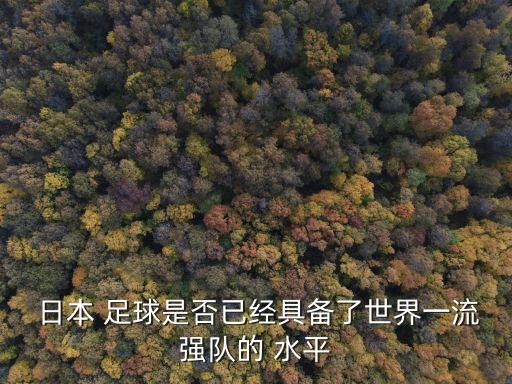 日本高中足球聯(lián)賽的水平,2022年日本高中足球聯(lián)賽