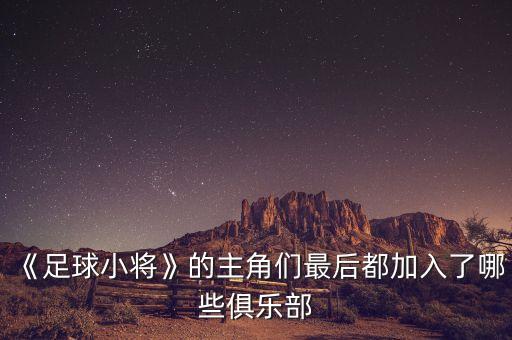 大阪櫻花足球隊(duì)主場(chǎng)