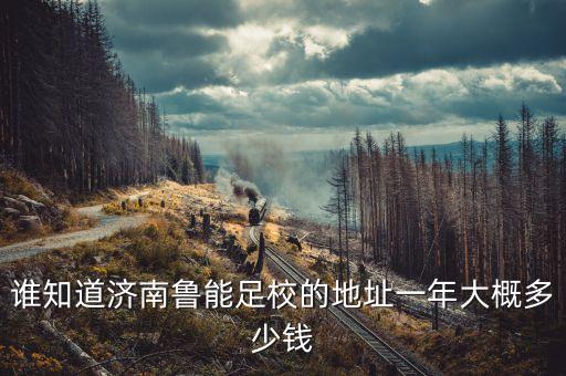 誰(shuí)知道濟(jì)南魯能足校的地址一年大概多少錢