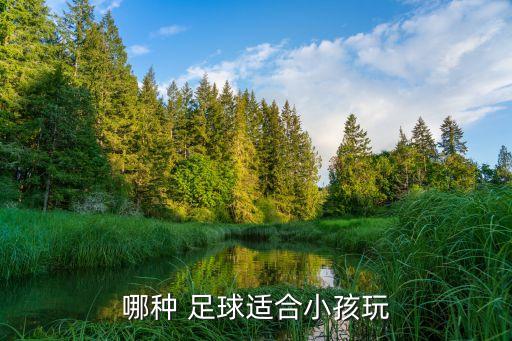 哪種 足球適合小孩玩