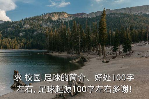 求 校園 足球的簡介、好處100字左右, 足球起源100字左右多謝!