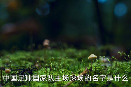 中國(guó)足球國(guó)家隊(duì)主場(chǎng)球場(chǎng)的名字是什么