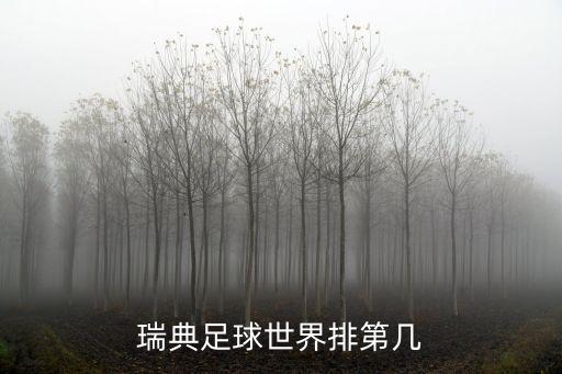 瑞士足球隊穿什么顏色,德國足球隊穿什么顏色的衣服