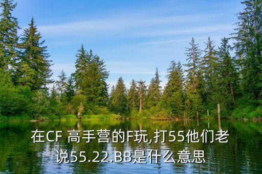 在CF 高手營的F玩,打55他們老說55.22.BB是什么意思