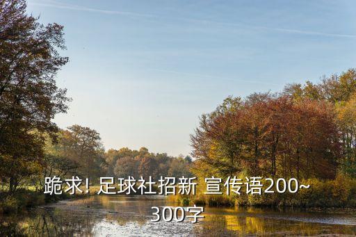 跪求! 足球社招新 宣傳語(yǔ)200~300字