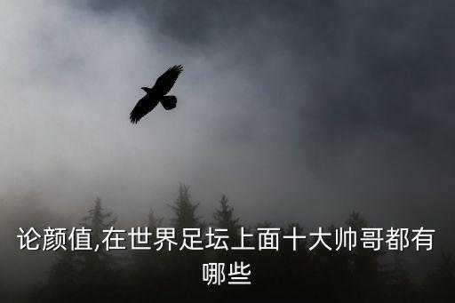 綠茵場上足球美女,奔跑在綠茵場上的足球少年