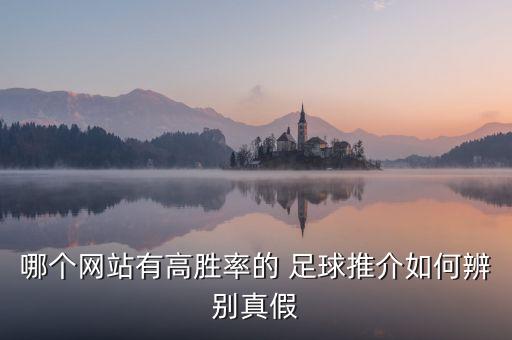 哪個(gè)網(wǎng)站有高勝率的 足球推介如何辨別真假