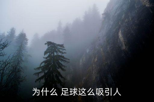 足球冷門率,足球史上有哪些著名的冷門