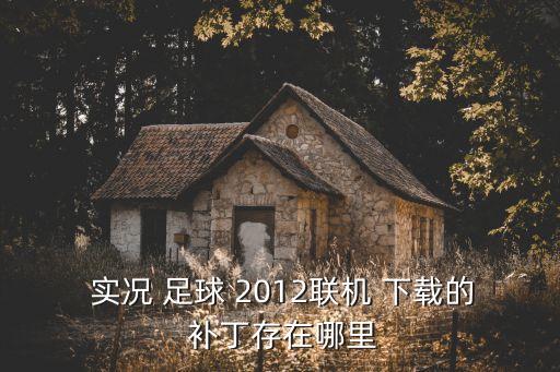  實(shí)況 足球 2012聯(lián)機(jī) 下載的 補(bǔ)丁存在哪里