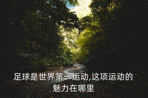  足球是世界第一運(yùn)動(dòng),這項(xiàng)運(yùn)動(dòng)的 魅力在哪里