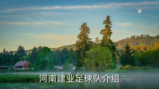 河南建業(yè)足球隊介紹