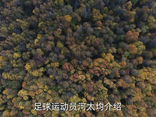 足球運(yùn)動(dòng)員河太均介紹
