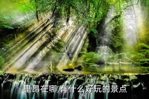 里昂足球俱樂部維基百科,奧林匹克里昂足球俱樂部