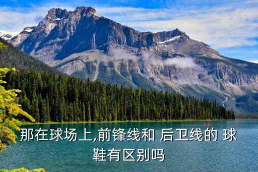 那在球場上,前鋒線和 后衛(wèi)線的 球鞋有區(qū)別嗎