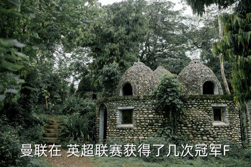 英超足球布魯克,我在英超當(dāng)CEO[足球]