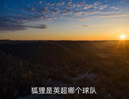 狐貍是英超哪個球隊