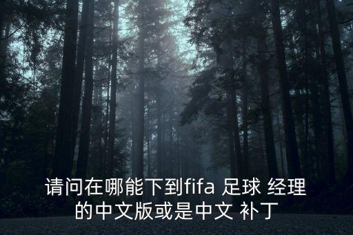 足球經(jīng)理固潛補(bǔ)丁