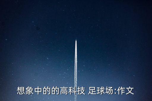想象中的的高科技 足球場:作文